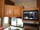 2009 FOREST RIVER WILDCAT 32QBBS | Image - 15