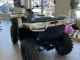 2022 ATV Arctic Cat Alterra 600 | Image - 3