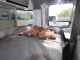 2019 AIRSTREAM SPORT 22FB - CAN-AM RV